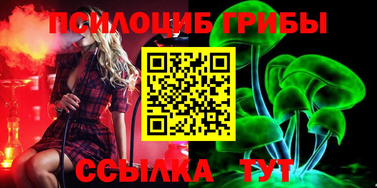 Славянск-на-Кубани  как найти наркотики  Галлюциногенные грибы Magic Shrooms  Вход с VPN  Псилоцибиновые грибы Psilocybe 